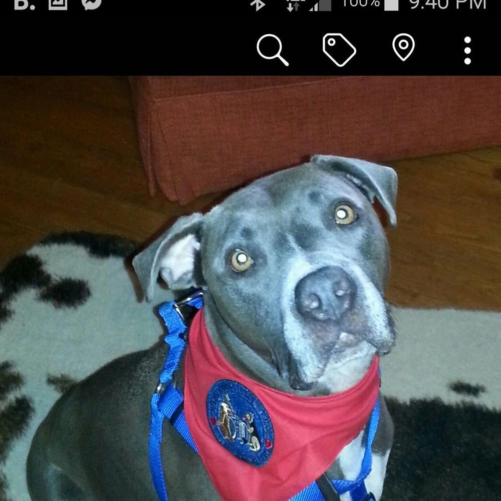 Meet your Posher, Carol